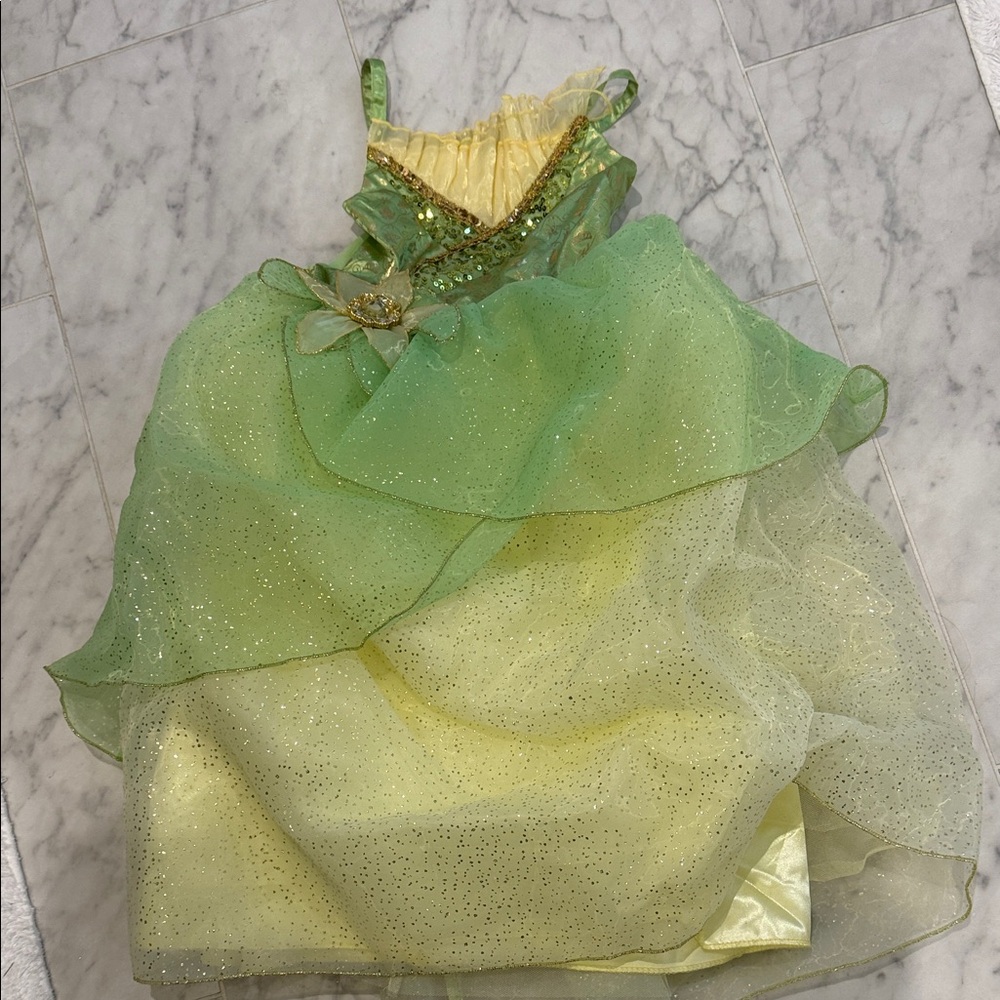 Princess Tiana Dress Up Dress